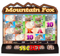 sscbet,sscbet.com